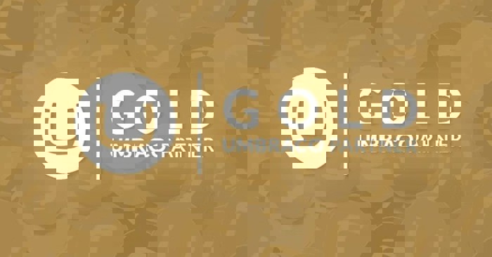 Umbraco Gold Partners