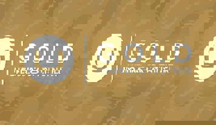 Umbraco Gold Partners